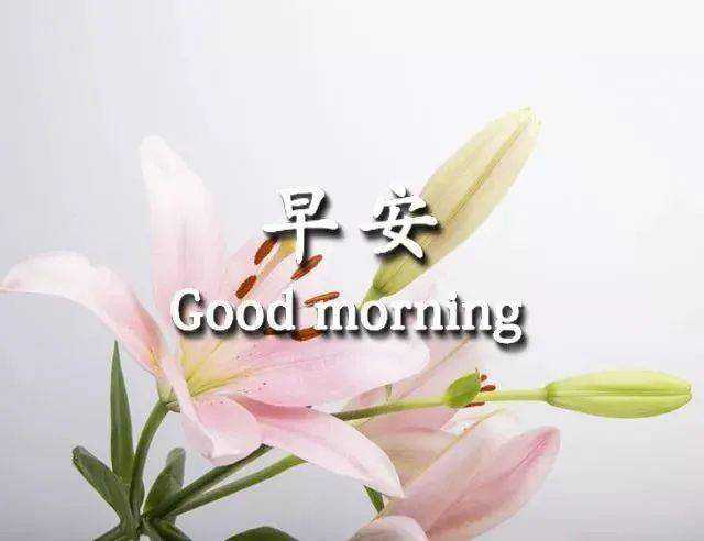 暖心的早安问候 goodmorning搞笑图吧gif搞笑图片