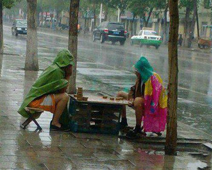 再大的雨也不能阻止俩象棋爱好决战的心搞笑图吧gif搞笑图片