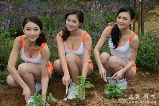 亚姐选手种薰衣草大秀乳沟搞笑图吧gif搞笑图片