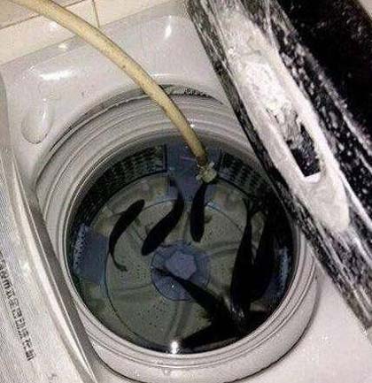 钓鱼回家找了个不错的鱼缸搞笑图吧gif搞笑图片