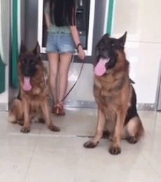 主人，有我们在，你就放心的取钱吧！我看谁敢过来搞笑图吧gif搞笑图片