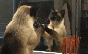 咦，突然回过神来，这是谁呀，这么丑搞笑图吧gif搞笑图片