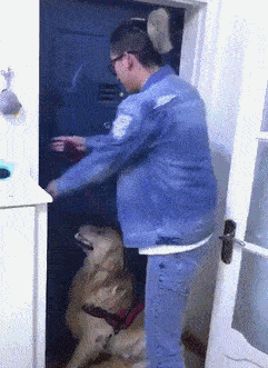 一大早起来二汪最兴奋的时候搞笑图吧gif搞笑图片