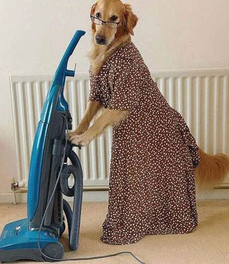 保洁阿姨......搞笑图吧gif搞笑图片