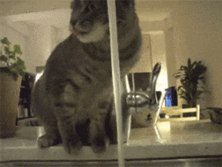 淋下脑袋 清醒清醒搞笑图吧gif搞笑图片