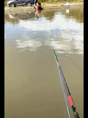 来自一只鱼的挑逗，你来钓我呀搞笑图吧gif搞笑图片