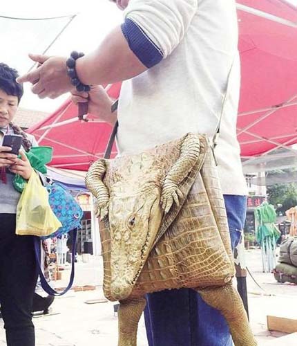 一看就是真皮包包搞笑图吧gif搞笑图片