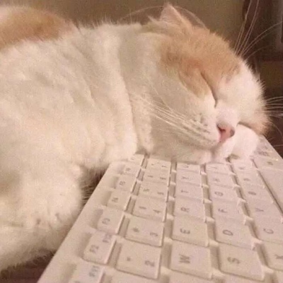 一只在键盘熟睡的可爱猫咪搞笑图吧gif搞笑图片