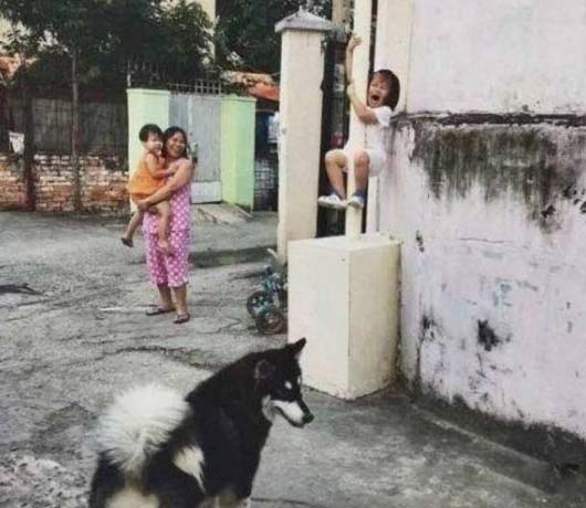 老妈，我怕怕那只大黄狗会咬我搞笑图吧gif搞笑图片