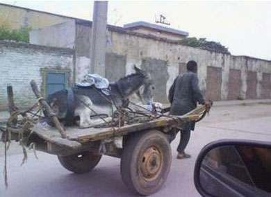 拉上我心爱的小毛驴....搞笑图吧gif搞笑图片