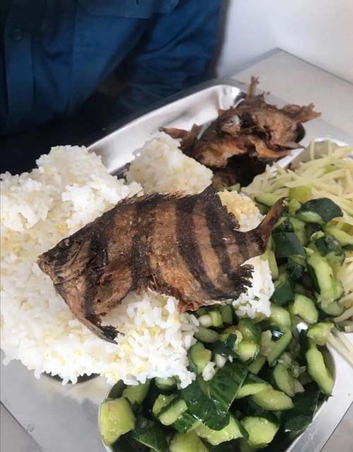 今天食堂改善伙食，不过这鱼看上去怪怪的搞笑图吧gif搞笑图片