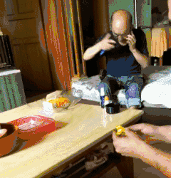 头发就是这样被梳没的搞笑图吧gif搞笑图片