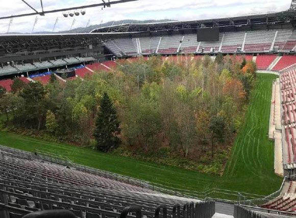 丛林足球 这场地比赛一定很有激情搞笑图吧gif搞笑图片