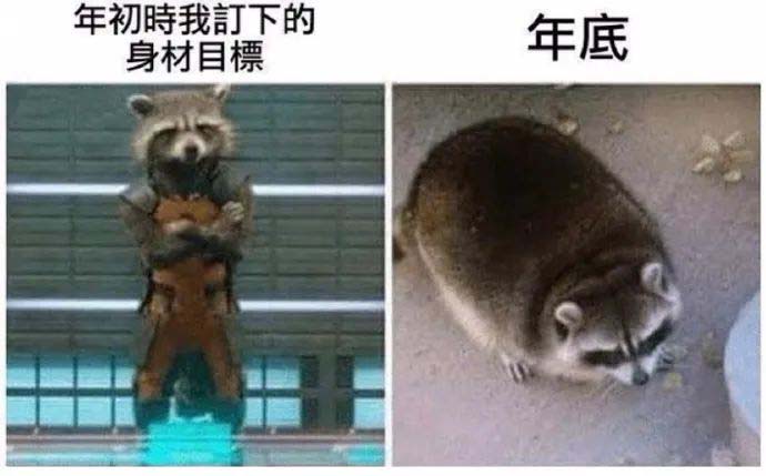 减肥年初的目标和年底的情况搞笑图吧gif搞笑图片