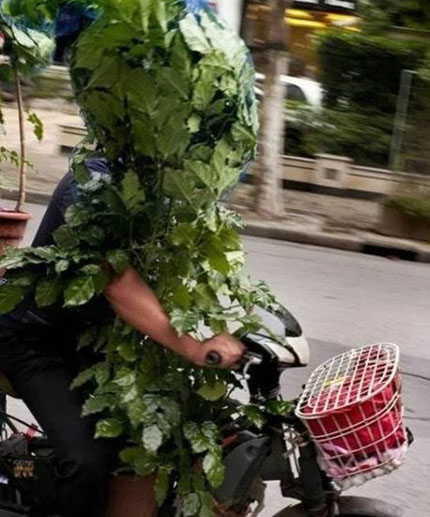 电动车搭盆栽，一路酷呆了搞笑图吧gif搞笑图片