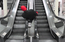 电梯，果然是2B青年最爱的地方！搞笑图吧gif搞笑图片