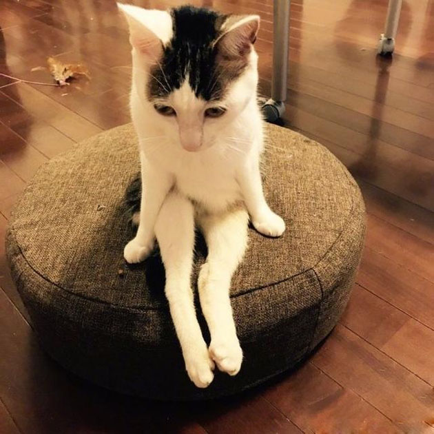 有些失恋的感觉搞笑图吧gif搞笑图片