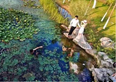 婚纱摄影帅为也拍出好照片，也是挺拼的啊搞笑图吧gif搞笑图片