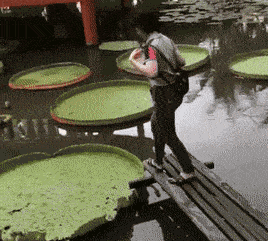 想踩上去玩一玩的，结果......搞笑图吧gif搞笑图片