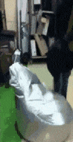 这是谁干的好事，喷我一身粉墨搞笑图吧gif搞笑图片