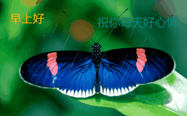 早好上 暖心的祝福图片搞笑图吧gif搞笑图片