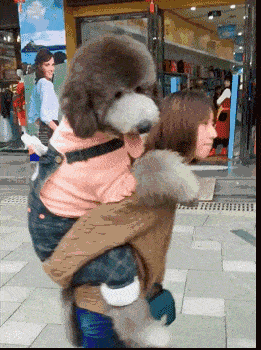 背着我可爱的宝宝一起逛街搞笑图吧gif搞笑图片