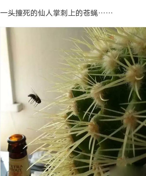 真是很完美的巧合搞笑图吧gif搞笑图片