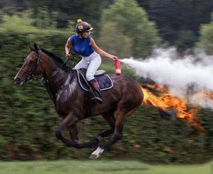 跑出火焰的马儿搞笑图吧gif搞笑图片