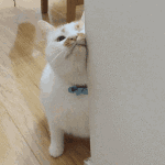 挠痒痒......搞笑图吧gif搞笑图片