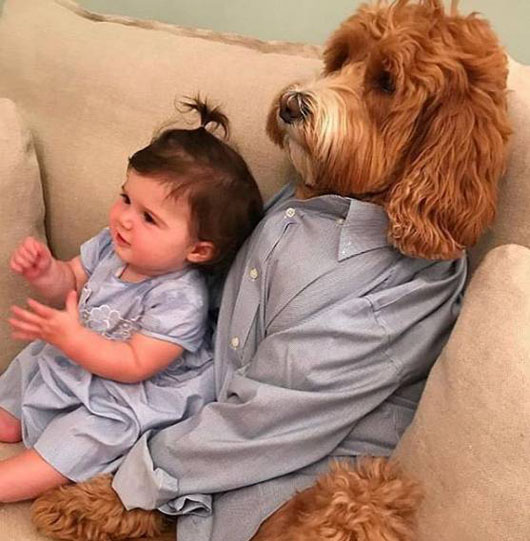 很有爱的场景，二汪一起陪宝贝看电视搞笑图吧gif搞笑图片