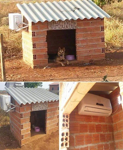 高端上档次的狗屋搞笑图吧gif搞笑图片