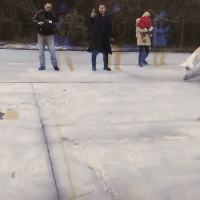 都闪开，我的猪猪要跑第一名啦搞笑图吧gif搞笑图片