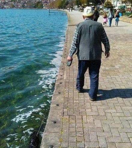 大爷遛狗，狗狗自己洗澡澡了搞笑图吧gif搞笑图片