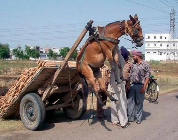 严重超载搞笑图吧gif搞笑图片
