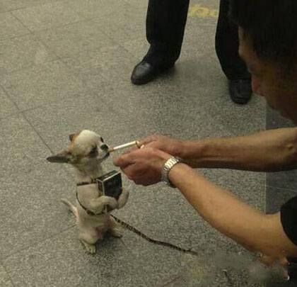 来 抽上一支烟......搞笑图吧gif搞笑图片