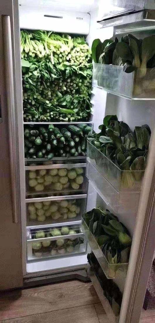 存储的是满满绿色蔬菜搞笑图吧gif搞笑图片