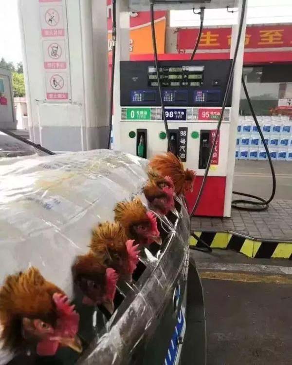 开上马路，只有我的车最摇摆搞笑图吧gif搞笑图片