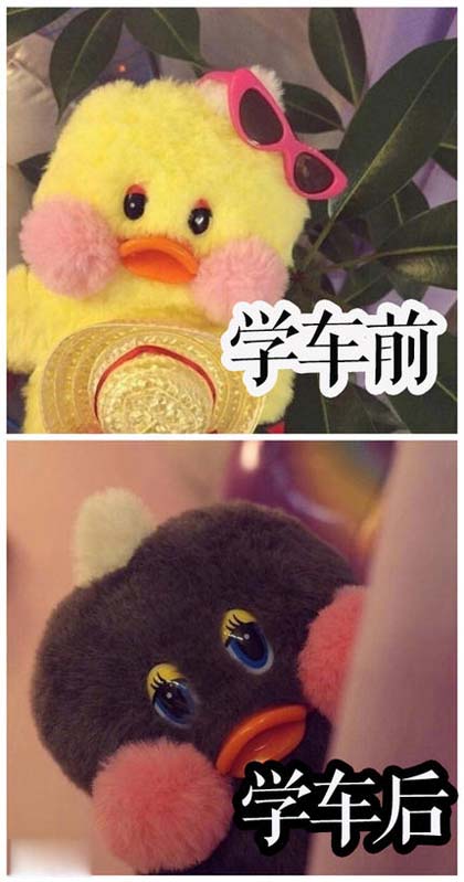 用毛绒玩具比喻妹子学车前与学车后~~搞笑图吧gif搞笑图片