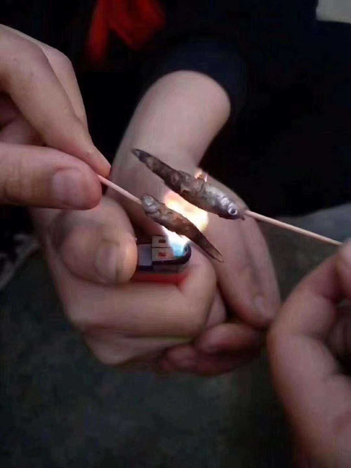 来，兄弟，一起吃烤鱼啦搞笑图吧gif搞笑图片