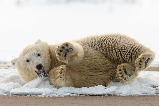 嗨 躺着姿势来拍一张搞笑图吧gif搞笑图片