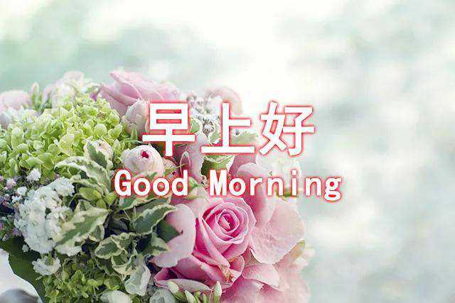 早上好微信祝福图片搞笑图吧gif搞笑图片