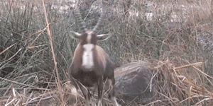 被家长惯坏了的孩子步入社会是很危险的。。。搞笑图吧gif搞笑图片