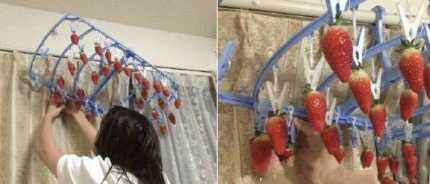 晒晒草莓搞笑图吧gif搞笑图片