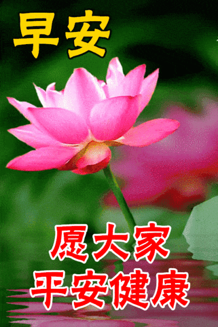 早安动态图 早安健康搞笑图吧gif搞笑图片