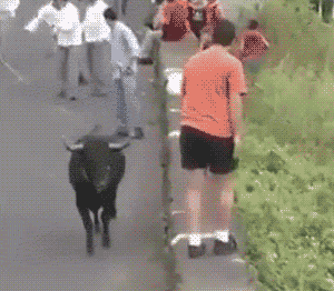 隔空被牛顶下去了搞笑图吧gif搞笑图片