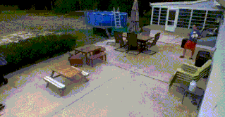 主人受了公鸡的欺负，小汪却把鸡追跑啦搞笑图吧gif搞笑图片