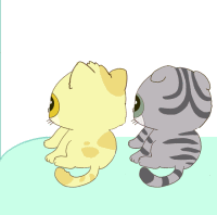 露一下小脸，逗你们玩可爱趣图gif搞笑图片