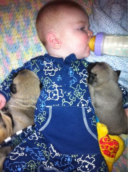 含着奶瓶抱着小狗的宝宝可爱趣图gif搞笑图片