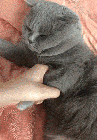 你走开，不要碰我，惹老子生气了可爱趣图gif搞笑图片