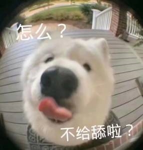 怎么，就不给舔啦可爱趣图gif搞笑图片